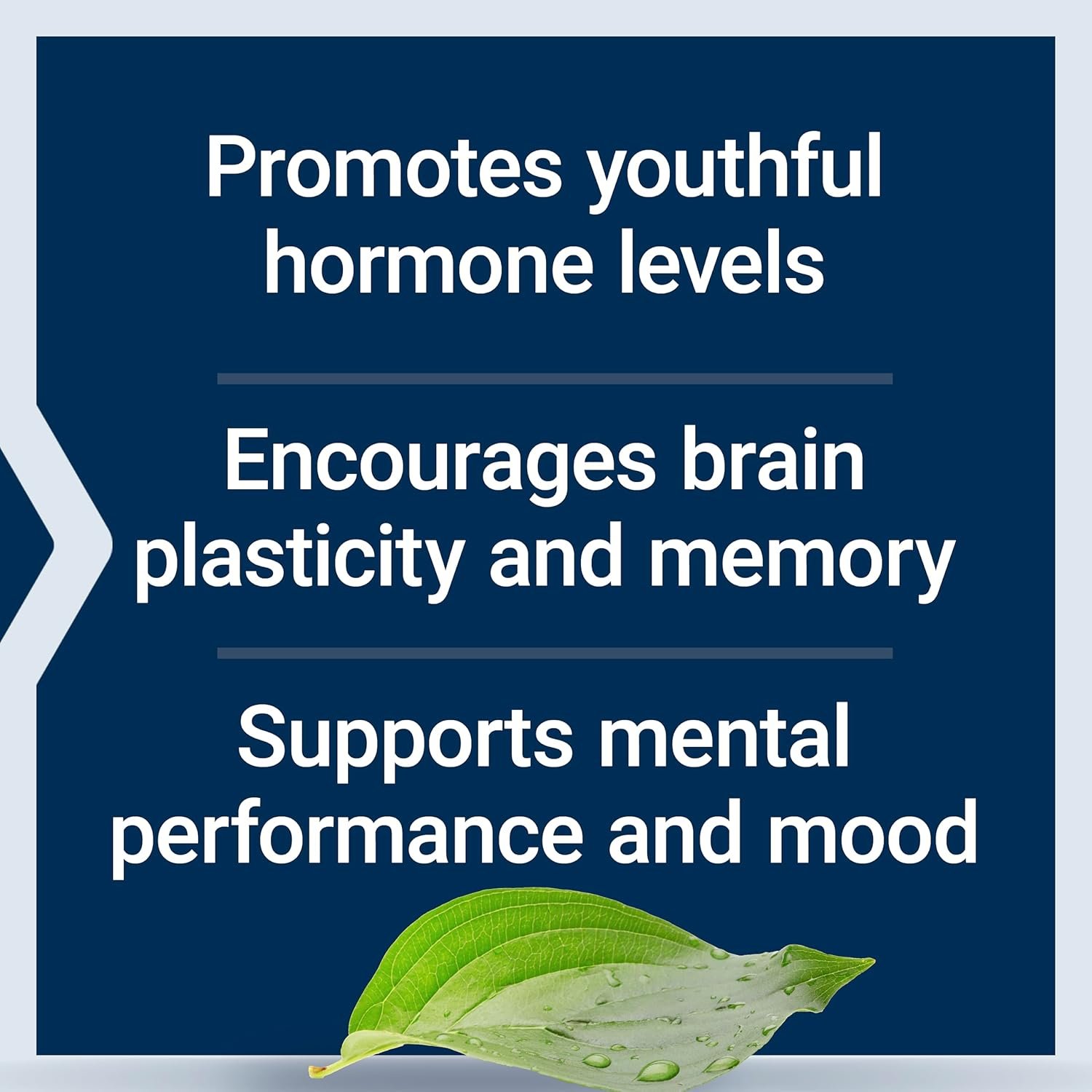 Pregnenolona 100 mg – Neurohormona clave para memoria, energía y equilibrio hormonal - Image 6