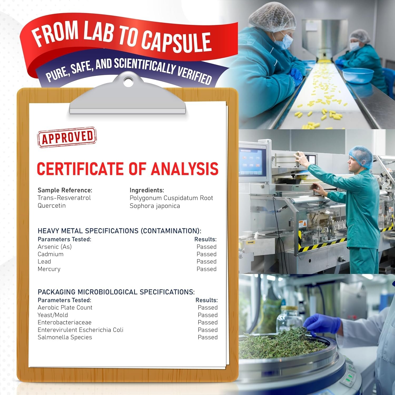 Nicotinamide Riboside 12,970mg with Resveratrol Quercetin - Image 3